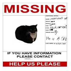 he is missing...
