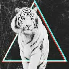 Tigris