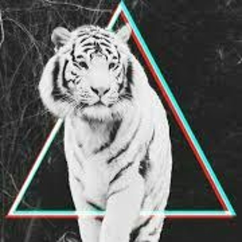 Tigris