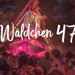 ZzdW_2024 Wäldchen47 Preview