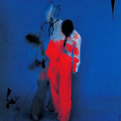 not the case (kalebwithak)