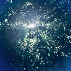 Dwelling In Jade [Prod. DevanThatDude]