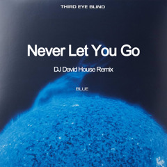Third Eye Blind - Never Let You Go (house remix)