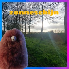 Zonneschijn