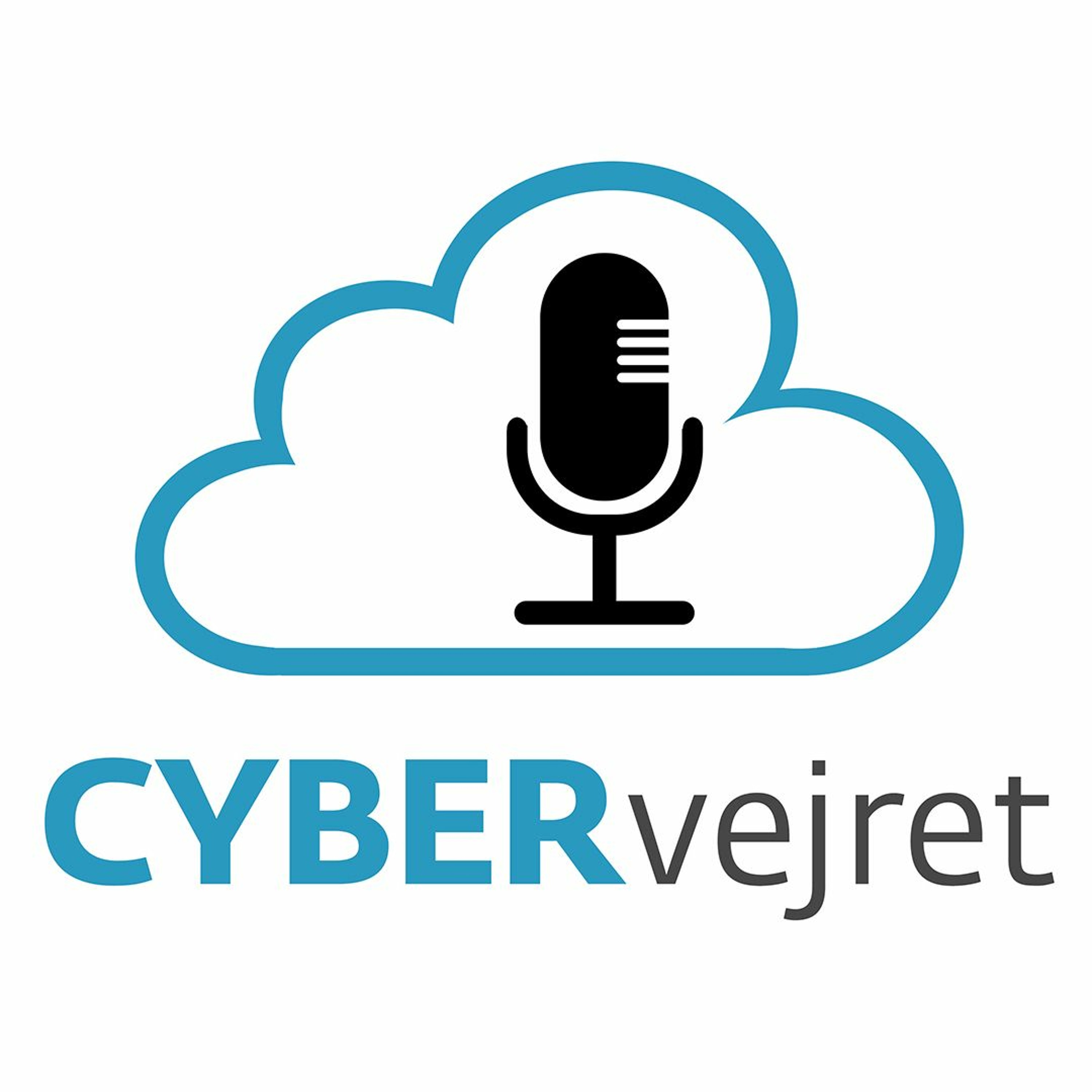 Cyber Vejret