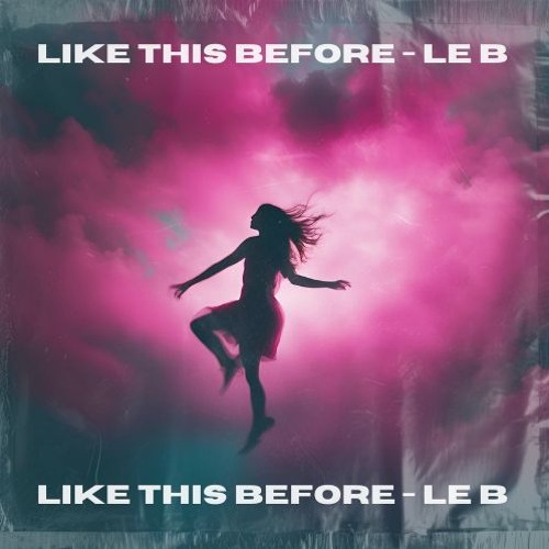 LIKE THIS BEFORE - LE B