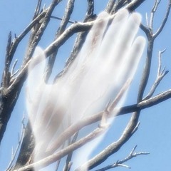 sulga - arsız (slowed)