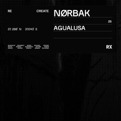 Nørbak - Agualusa (Original Mix) [RX Recordings]