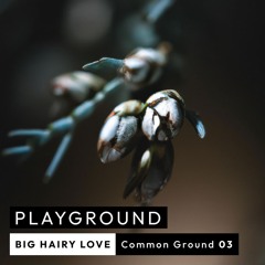 Common Ground 03 - Big Hairy Love