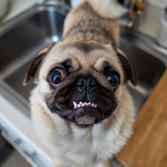 A Manifesto on Floor-Based Opportunism