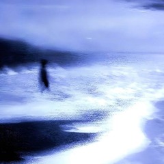 zyuzi /0-damage（cover）