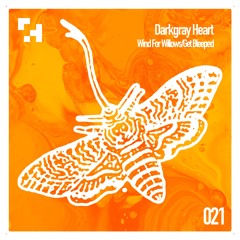 RGNM021 - Darkgray Heart - Wind For Willows / Get Bleeped (OUT NOW)