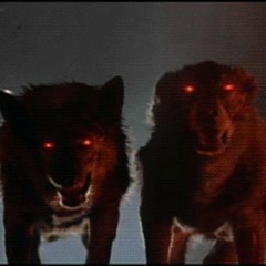 Luh Buddha - UNBOTHERED (PROD. LIL FARI) [Unreleased]