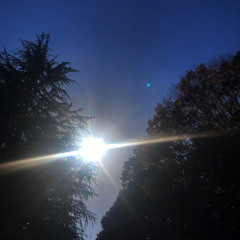 Whispers of the Stars