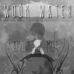 Wook Water - Among The Mist [Free Download]