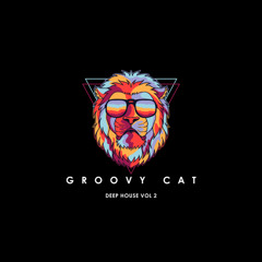THE FUNKY CAT: DEEP HOUSE VOL 2