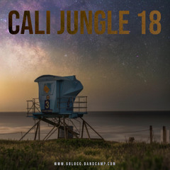 CALI JUNGLE 18 - DNB JUNGLE REMIXES