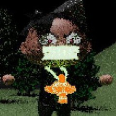 A FIRMA AKAPLUGDESACATO & ANJOS