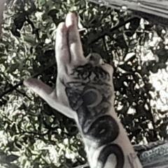 Tiger Claw (prod. Stav Z)