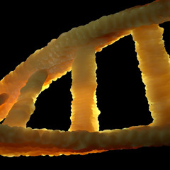 #46 NGW-Radio, 25.05.2025: Gendermedizin