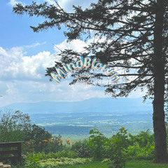 MindBlown Prod by. GAXILLIC