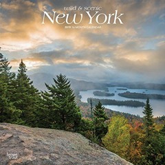 [READ] [EBOOK EPUB KINDLE PDF] New York, Wild & Scenic 2019 12 x 12 Inch Monthly Squa