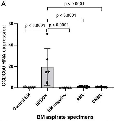Key Genetic Alterations and Biomarker for Blastic Plasmacytoid Dendritic Cell Neoplasm