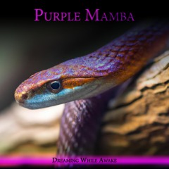 Purple Mamba