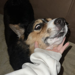 когда толкаю оптом( darihanna blend full)