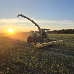 ma gucken ob's noch geht wa?!
