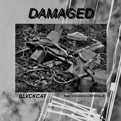 DAMAGED (BLVCK CAT x VOOODOO CRYSTALS)