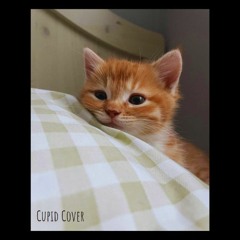 Cupid cover by kiki & remi