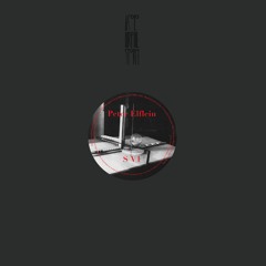 Peter Elflein / Schneider & Radecki - S V1 / Chic (preview)