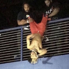 iwantsumbass (wvrchxld)