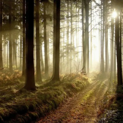 What You're Going Through