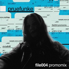 pruefunke - datadrift: file004 promomix