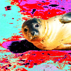 2homiedawgs - Schmackofatz (Fov KetaSeehund Kick)