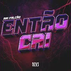 ARI FALCÃO - ENTÃO CAI
