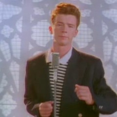 Never Gonna Give You Up (HRLY Flip)