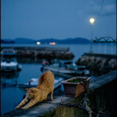 seaside depression (p.bapop)