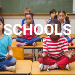 Educators 101 module feedback