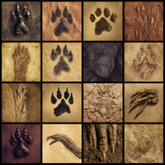Creature Footsteps Library Demo