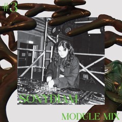 Module Mix #3 Sonydiam