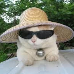 Jazz kitty