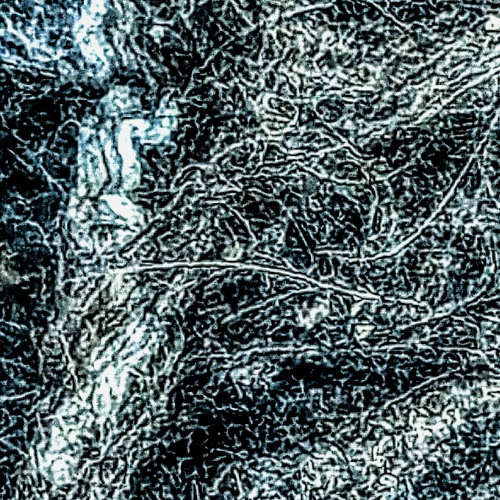 No Stars Were Spared (naviarhaiku 620)