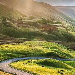 Grass is greener - Mike Park