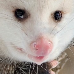 Eyeless (Slipknot Cover)