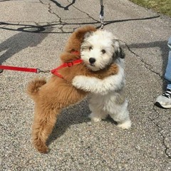 Methods of Mellow - September 2021