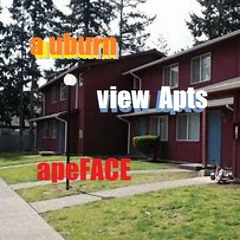 ApeFACE - Auburn View Apts