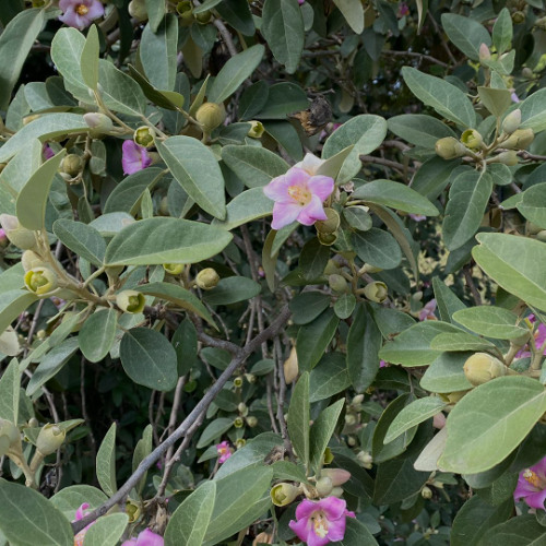 Insights from Psalm 118